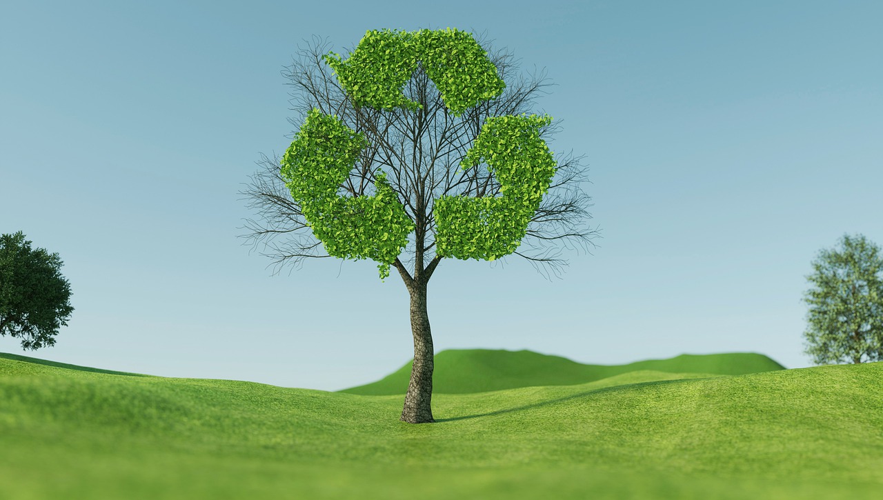 tree, recycle, sustainability-5591461.jpg